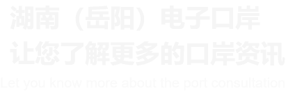 湖南（岳阳）电子口岸